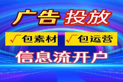 网络推广与竞价广告：双管齐下的策略案例